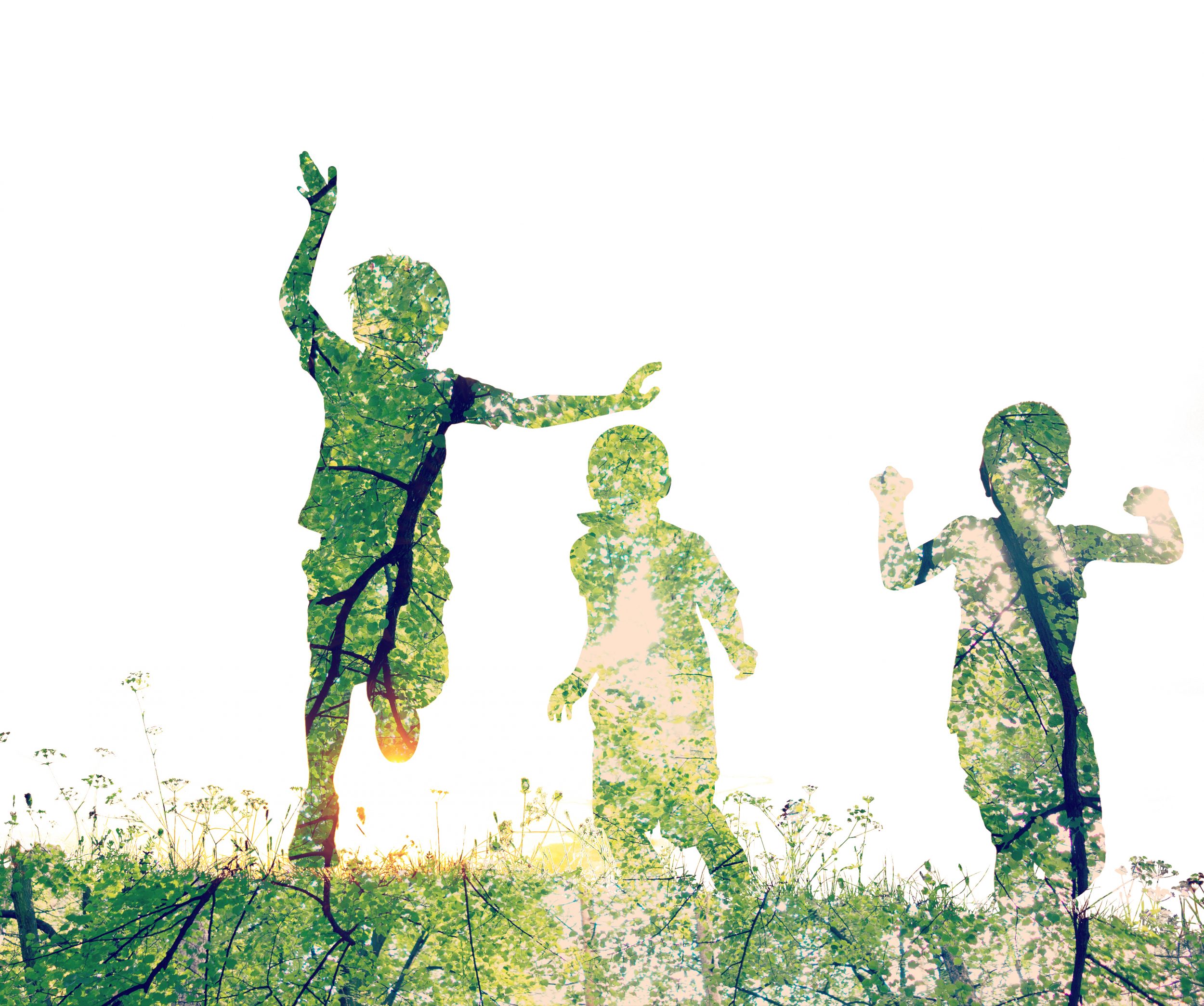 © Shutterstock Kinder spielen in der Wiese
